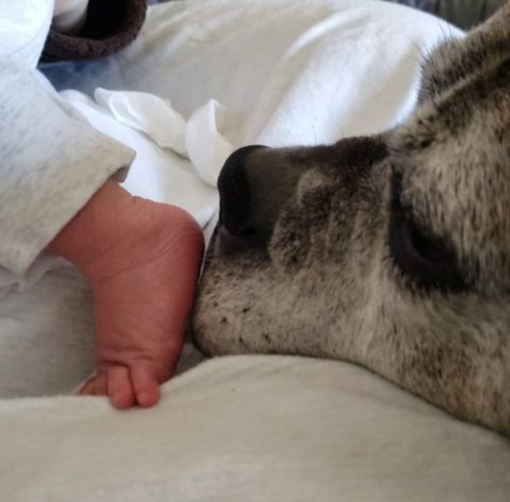 Meet your Posher, Malena